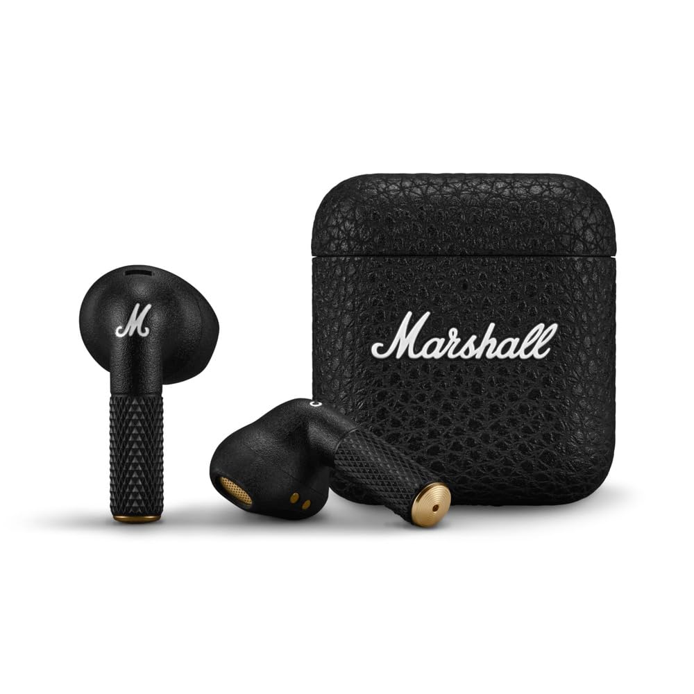 ms43.jpg