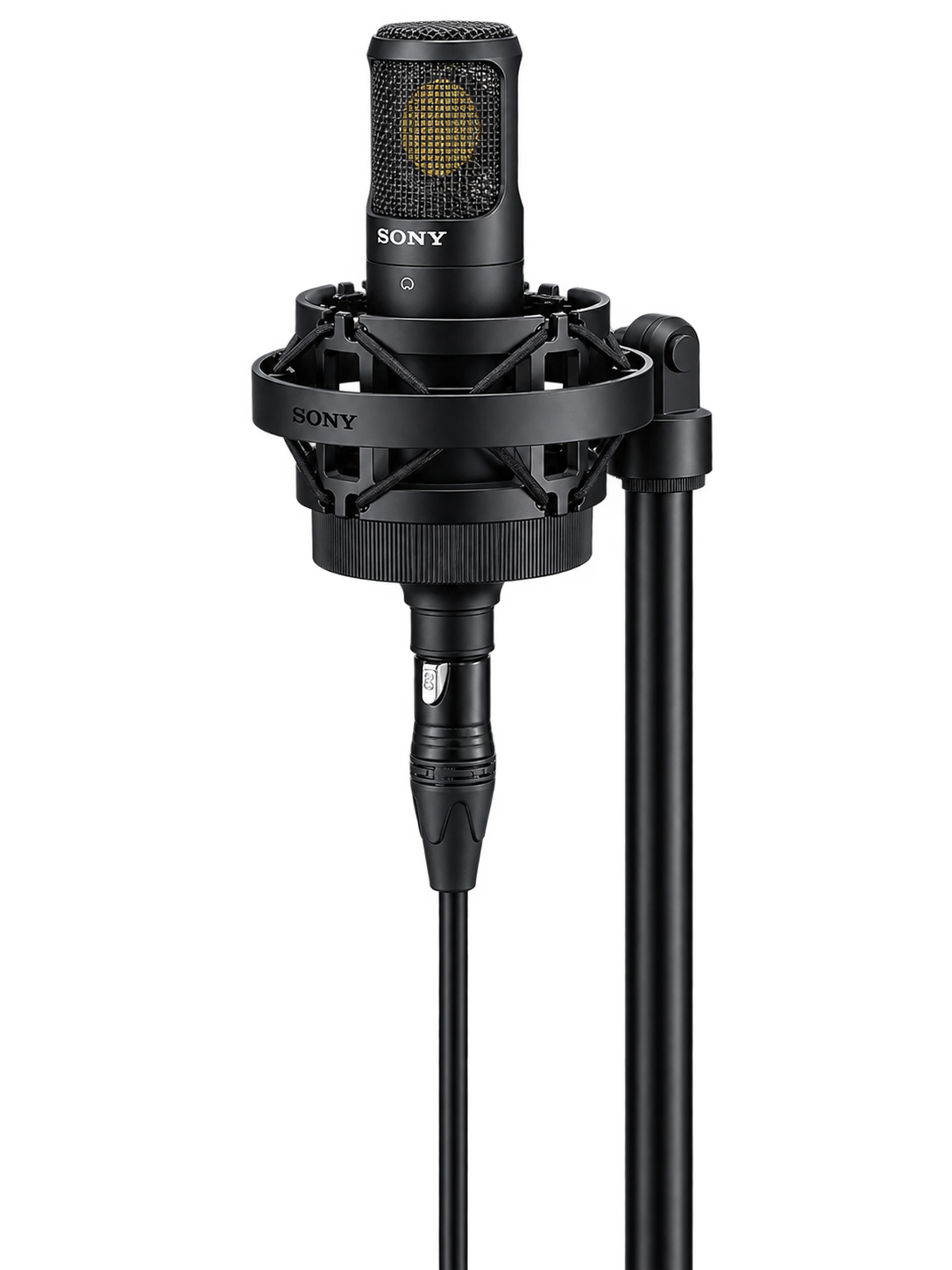 Microphone